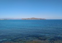 image_1734114169866_5.jpg
